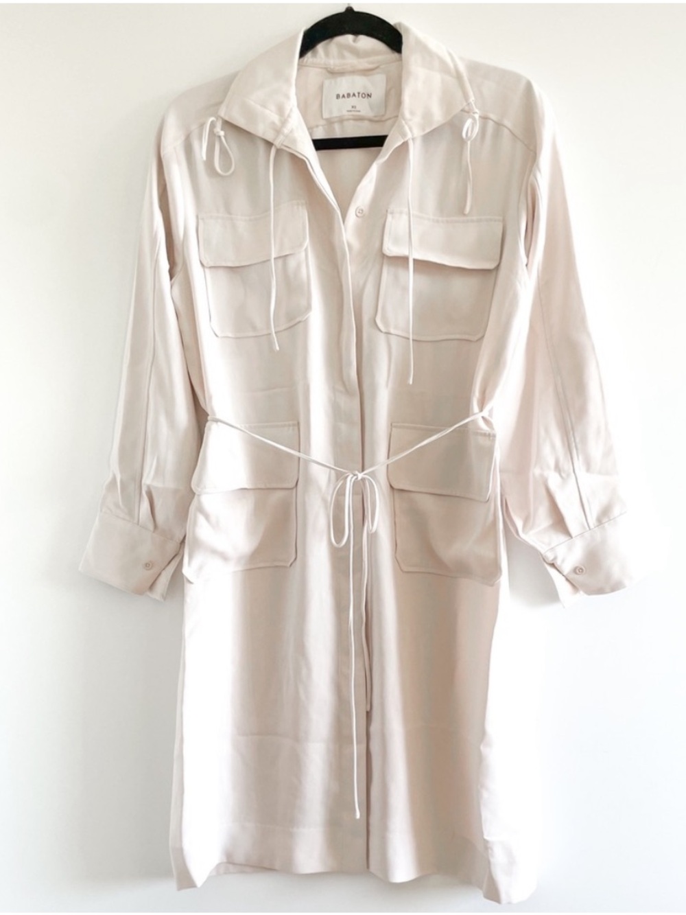 Babaton Howitt Shirt Dress